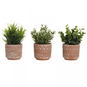 Roślina Dekoracyjna Home ESPRIT Polietylen Cement 12 x 12 x 17 cm (3 Sztuk)