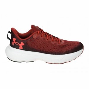 Obuwie do Biegania dla Dorosłych Under Armour Infinite Brązowy