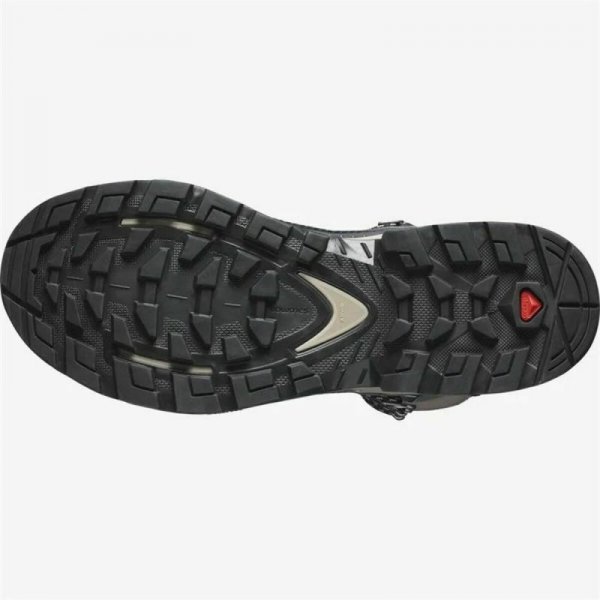 Buty górskie Salomon Quest Element Gore-Tex Kobieta Szary