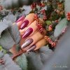 Lakier hybrydowy Ntn Premium Multicolor Collection 5g Nr 89