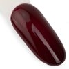 Lakier hybrydowy Ntn Premium Oriental Delice 5g Nr 267
