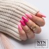 Lakier hybrydowy NTN Premium Springtime selfie 5g Nr 285