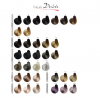Color Art Desiree Farba do włosów 8,3 Złocisty jasny blond 100 ml