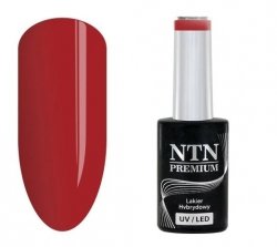 Lakier hybrydowy NTN Premium Fiesta Collection 5G NR 80