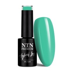 Lakier hybrydowy Ntn Premium Celebration Collection 5g Nr 163