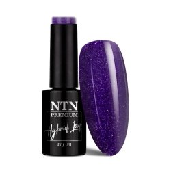 Lakier hybrydowy Ntn Premium Oriental Delice 5g Nr 263