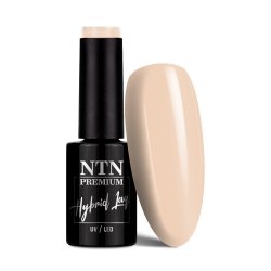 Lakier hybrydowy NTN Premium Day Dreaming Collection 5G NR 61