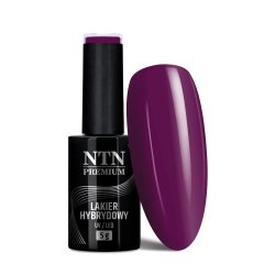 Lakier hybrydowy Ntn Premium Multicolor Collection 5g Nr 87