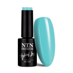Lakier hybrydowy Ntn Premium Dessert Collection 5g Nr 95