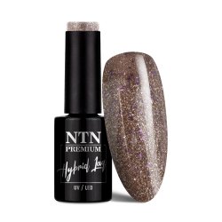 Lakier hybrydowy Ntn Premium Celebration Collection 5g Nr 166