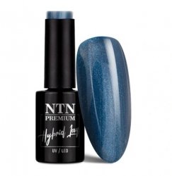 Lakier hybrydowy Ntn Premium Romantica Collection 5g Nr 100