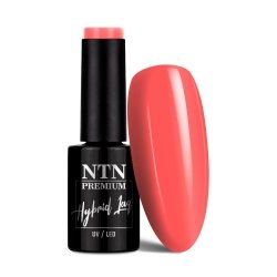 Lakier hybrydowy Ntn Premium Celebration Collection 5g Nr 164