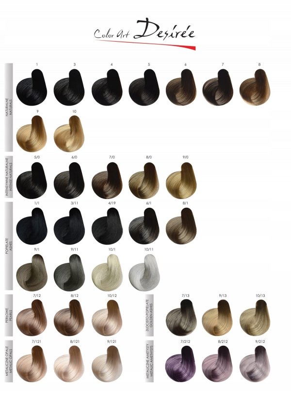 STAPIZ Color Art Desiree Farba do włosów 5,6 Czerwony Kasztan 100ml