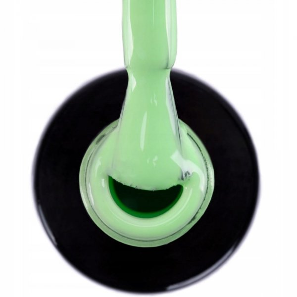 Lakier hybrydowy Ntn Premium California 5g Nr 138