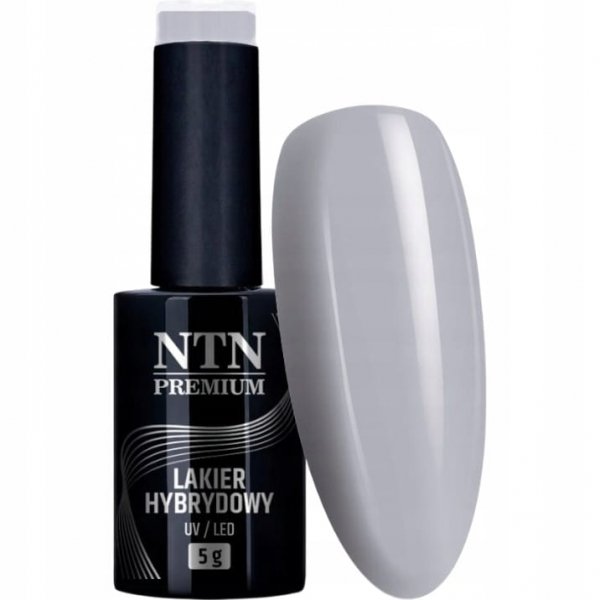 Lakier Hybrydowy NTN 5g Dessert Szary Grey Jasnoszary Nr98