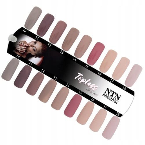 Lakier hybrydowy NTN premium Topless 5g NR 13