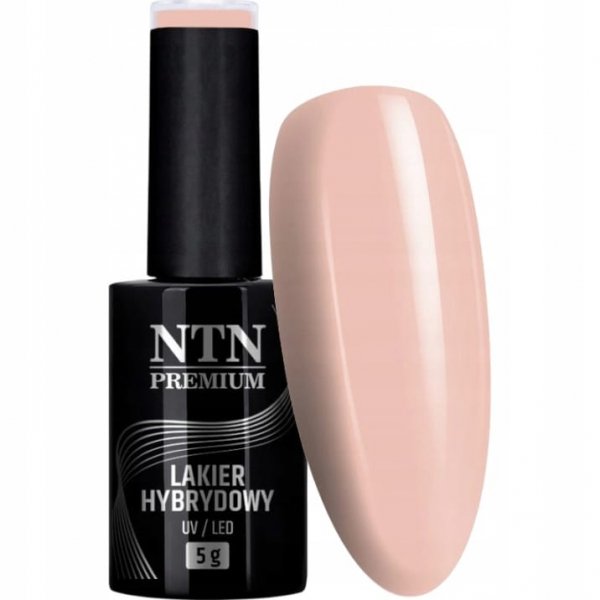 Lakier Hybrydowy Do Paznokci NTN 5g Topless Collection Beżowy Kremowy Nr17