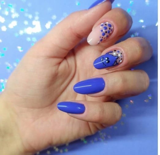 Lakier hybrydowy NTN Premium Show 109 5g