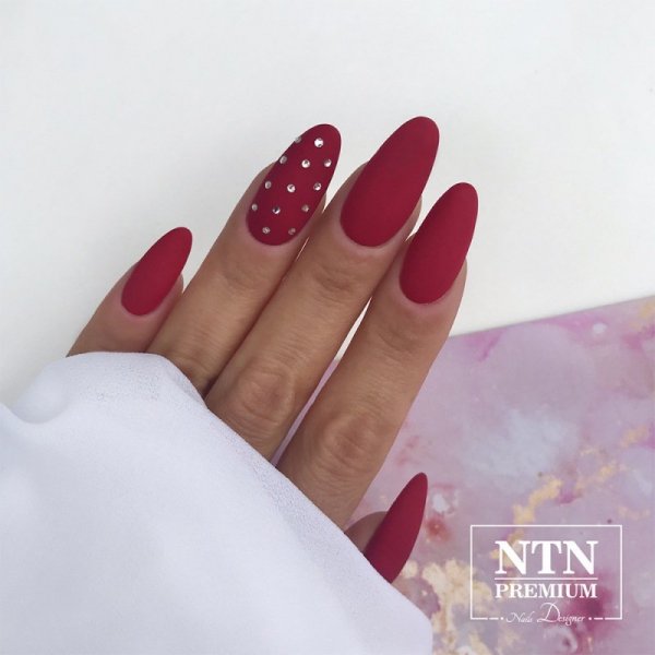 Lakier hybrydowy Ntn Premium Show Collection 5g Nr 114