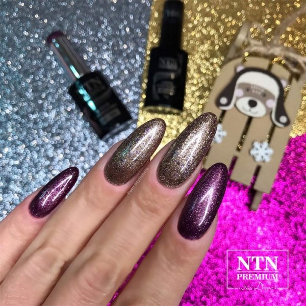 Lakier hybrydowy NTN Premium Uptown Girl Collection HEMA/Di-HEMA Free 5g Nr 19