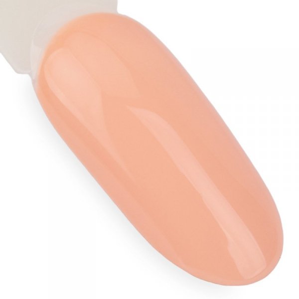 Lakier hybrydowy NTN Premium Day Dreaming Collection 5g Nr 59