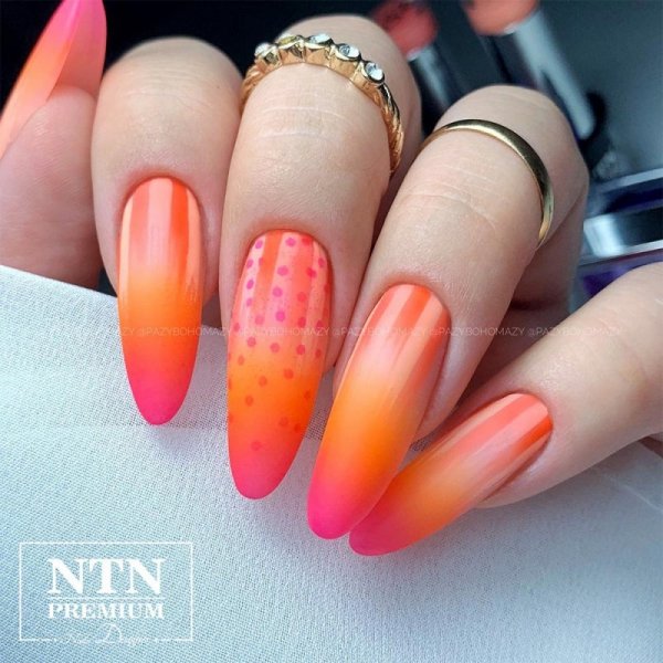 Lakier hybrydowy NTN premium California Collection nr 142