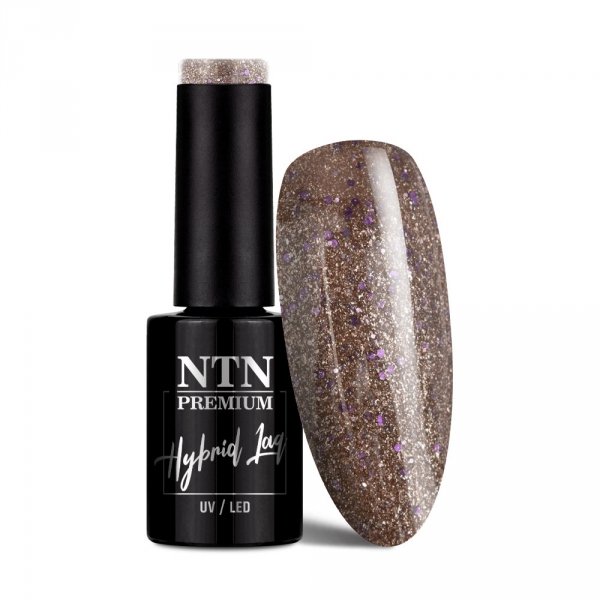 Lakier hybrydowy Ntn Premium Celebration Collection 5g Nr 166