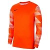 Bluza Nike Y Park IV GK Boys CJ6072 819 pomarańczowy XL (158-170cm)