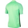 Koszulka Nike Gardien III BV6714 398 zielony XXL