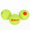 Piłka tenisowa Wilson Starter Orange żółty 