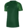 Koszulka Nike Dri-Fit Academy DH8031 302 zielony XXL