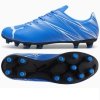 Buty Puma Attacanto FG/AG 107477-09 niebieski 47