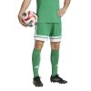 Spodenki adidas SQUADRA 25 JN7482 zielony M