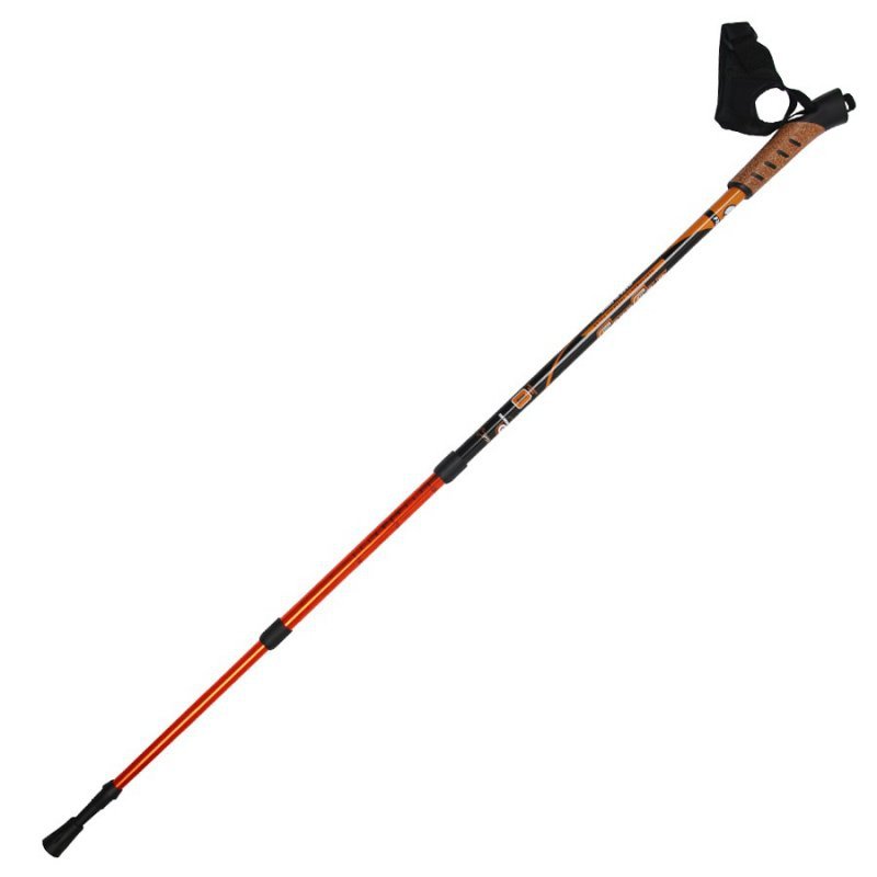 Kije trekkingowe 110-135 cm 