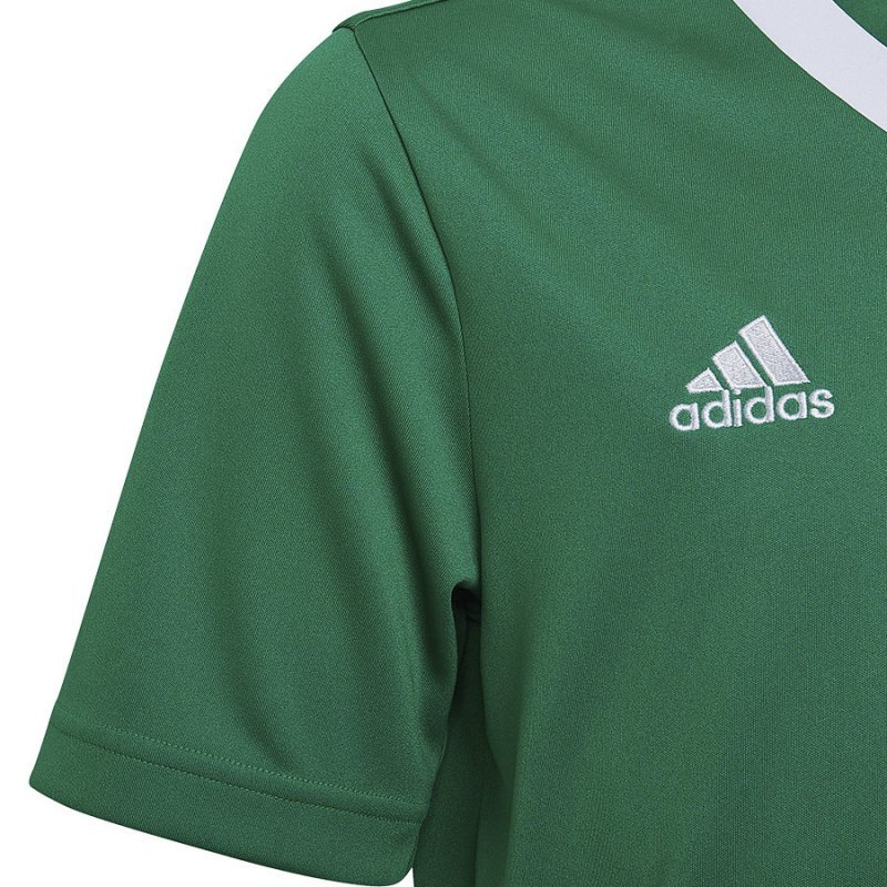 Koszulka adidas ENTRADA 22 JSY Y HI2126 zielony 176 cm