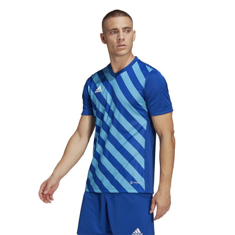 Koszulka adidas ENTRADA 22 GFX JSY HF0116 niebieski S