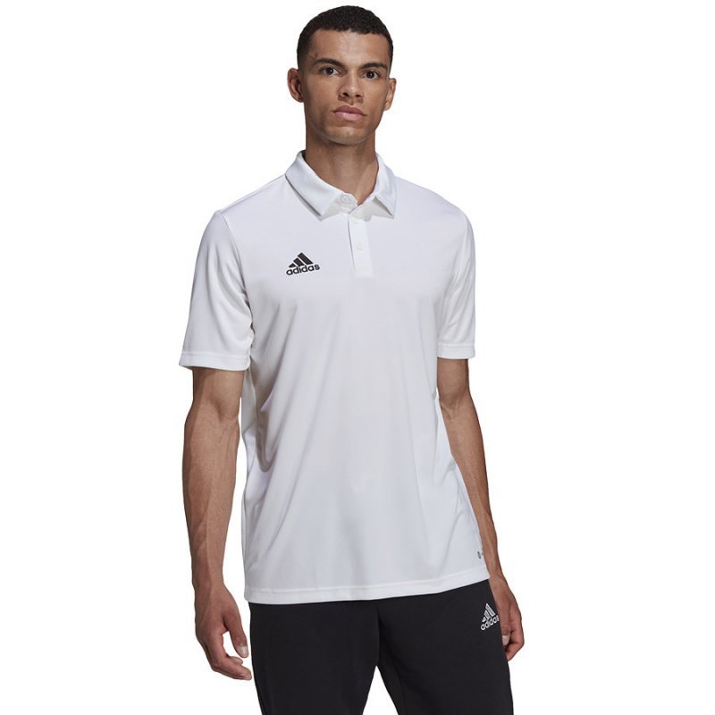 Koszulka adidas Polo ENTRADA 22 HC5067 biały XXXL
