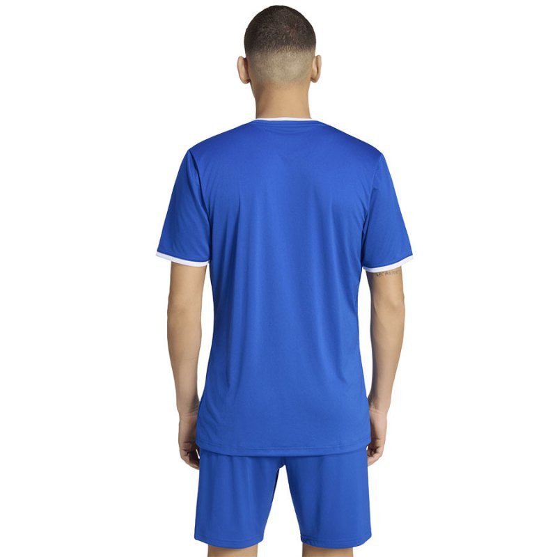 Koszulka adidas Entrada 26 JSY JZ2506 niebieski S
