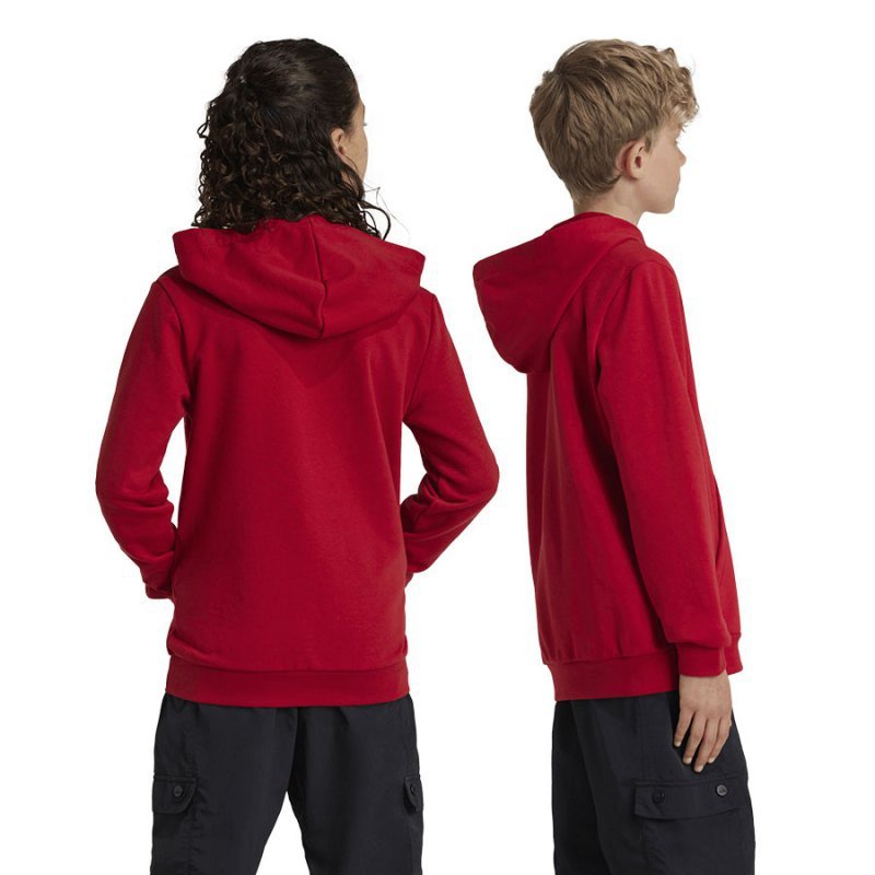 Bluza adidas FC Bayern HD Junior Jr IT4134 czerwony 164 cm