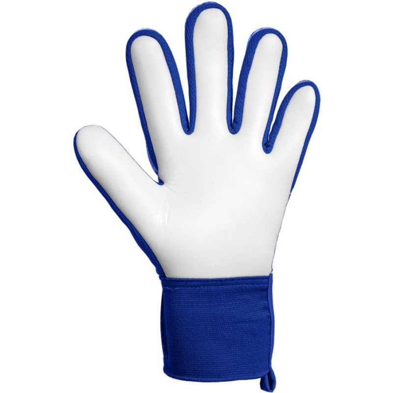 Rękawice Reusch Attrakt Starter Solid 56 70 514 4126 niebieski 8,5