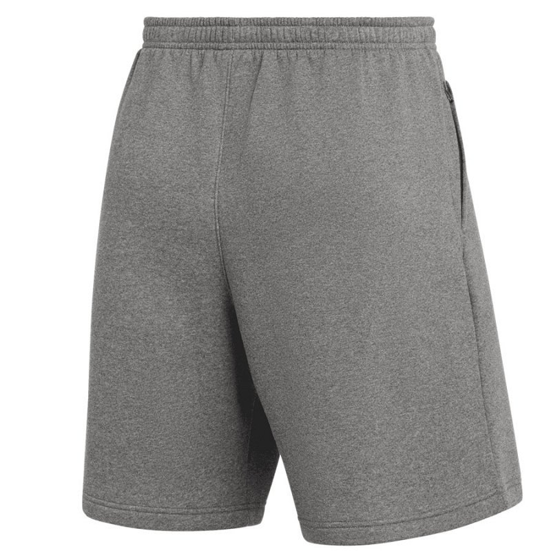 Spodenki Nike Park 26 Flecce IB1238-063 szary M