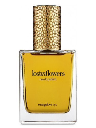 strangelove nyc lostinflowers