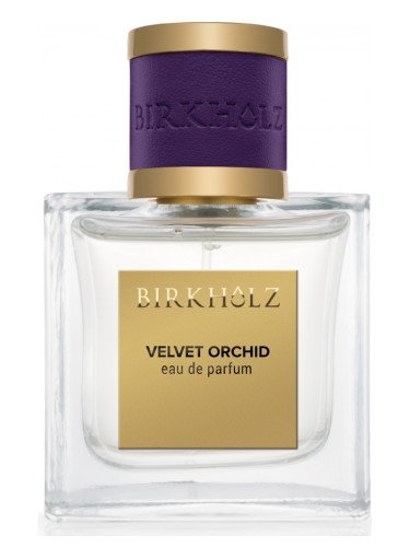 birkholz velvet orchid