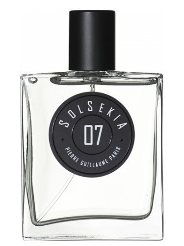 pierre guillaume 07 solsekia