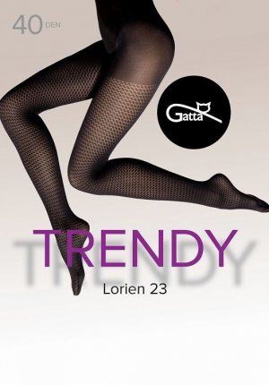 GATTA RAJSTOPY LORIEN WZ.23 40 DEN R.6