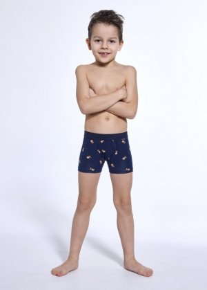 CORNETTE BOKSERKI KIDS 701/147 BEARS