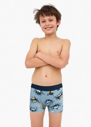 CORNETTE BOKSERKI KIDS 701/154 BAT
