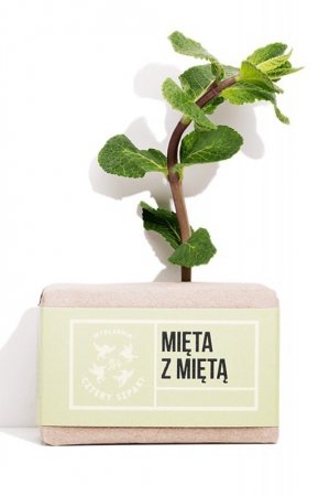Mydlarnia Cztery Szpaki Mydło Mięta z Miętą kosmetyki do kąpieli mydło