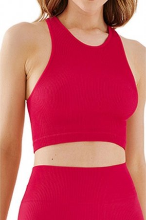 Gabriella Top Seamless halter rib 1203 raspberry