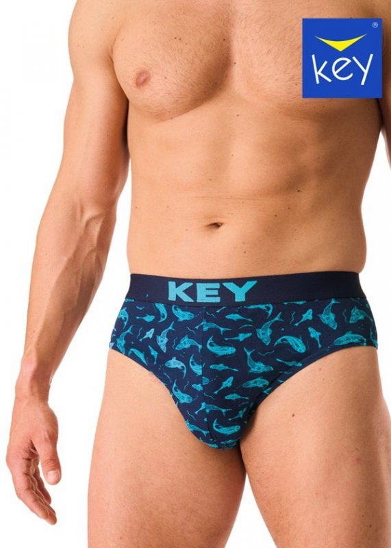 Key SLIPY KEY MPP-941 A26